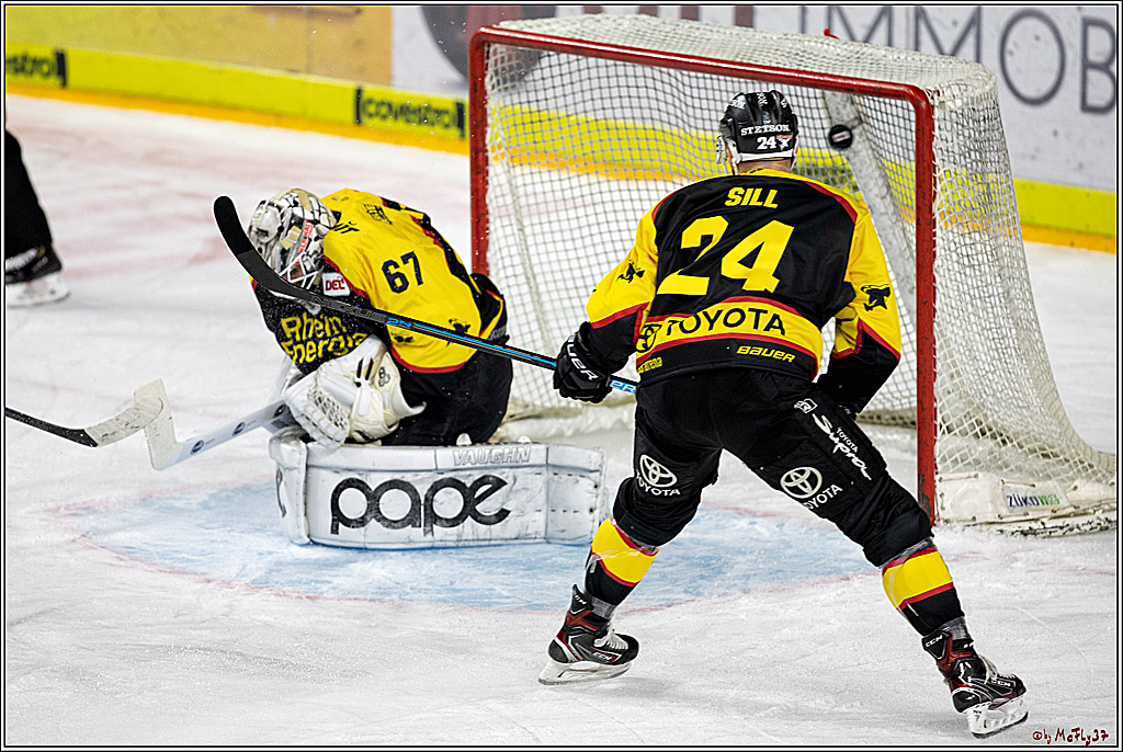 DEL;  Koelner Haie - Straubing Tigers; Koeln, 01.03.2020